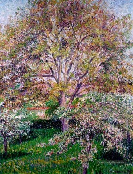 pommiers et pommiers en fleurs à eragny Camille Pissarro Peinture à l'huile